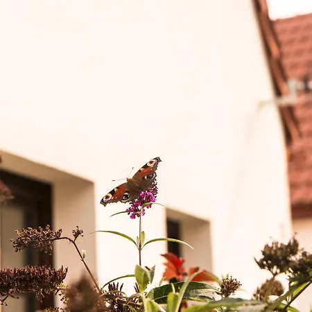 Appartamento Garage U Barbory Rakovník