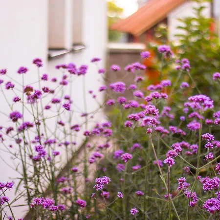 Garage U Barbory Appartamento